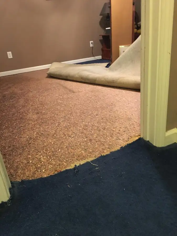 Carpet pad removal revealing water damage during Water Mitigation Services in Williamsburg