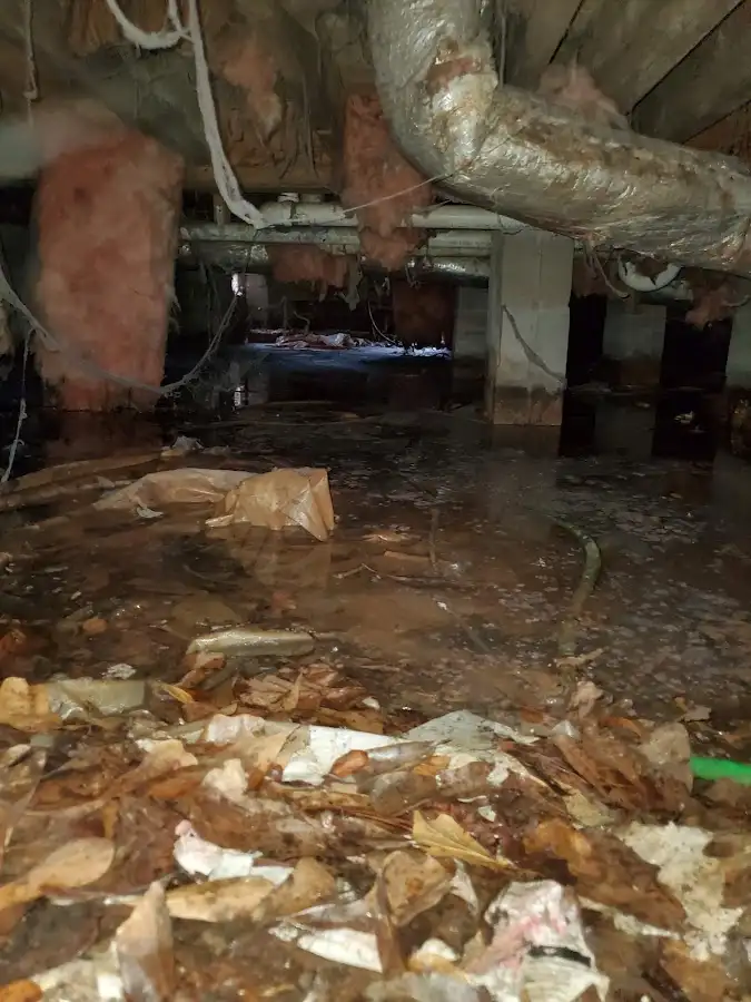 Crawl space flood assessment for Leak Detection & Repair in Williamsburg