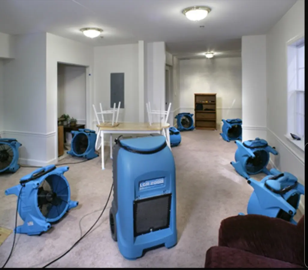 Air movers and dehumidifier setup for Water Extraction & Removal in Williamsburg